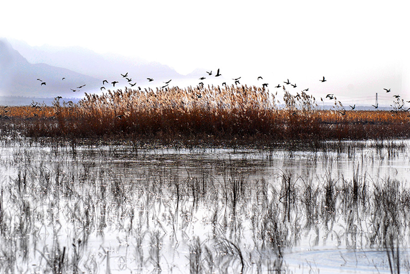 Datong attracts, amazes with scenery spots