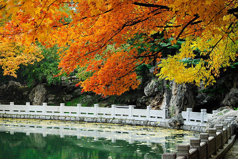 Fall leaves add color to Jinci Temple