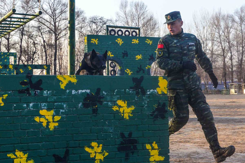 Police dog trained to help operations