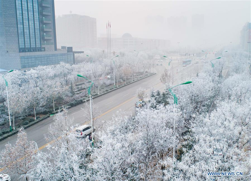 Rime scenery in Yuncheng city, North China's Shanxi