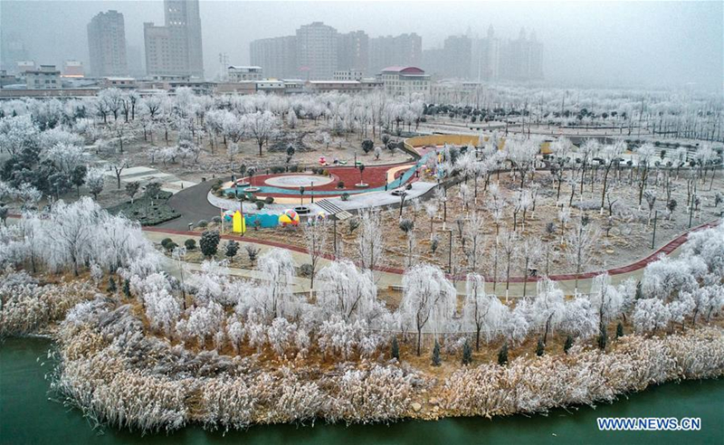 Rime scenery in Yuncheng city, North China's Shanxi