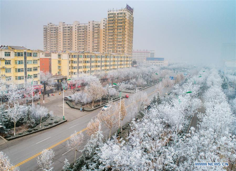 Rime scenery in Yuncheng city, North China's Shanxi