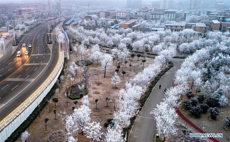 Rime scenery in Yuncheng city, North China's Shanxi
