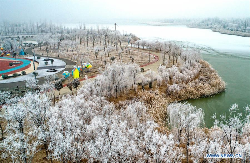 Rime scenery in Yuncheng city, North China's Shanxi