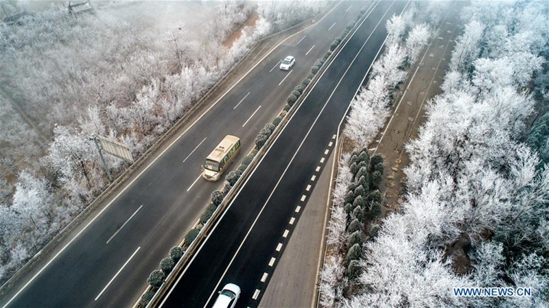 Rime scenery in Yuncheng city, North China's Shanxi