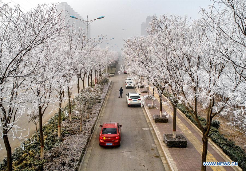 Rime scenery in Yuncheng city, North China's Shanxi