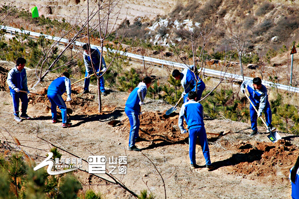 Shanxi province launches voluntary tree planting event