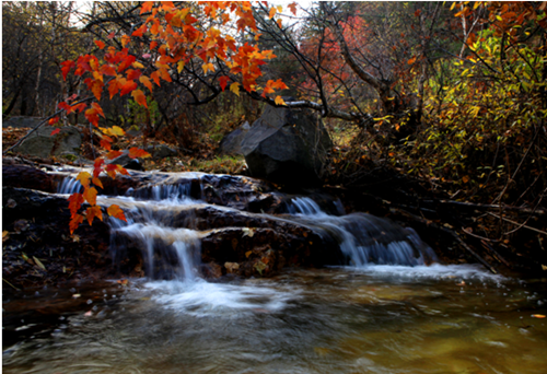 Shanxi adds three national wetland parks