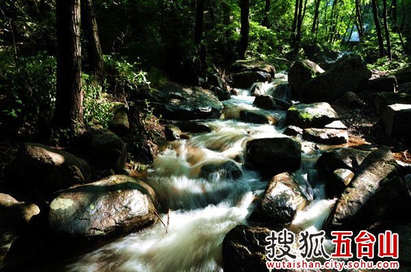 Enjoy a cool summer in Tuoliang Mountain