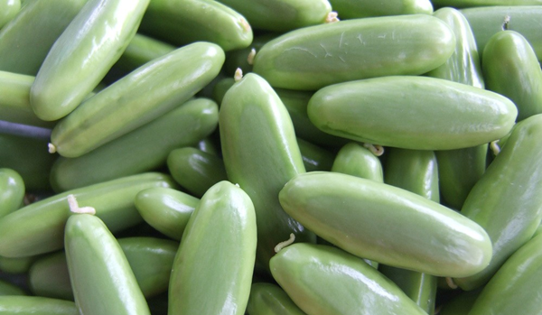 Top court details 10 major cases of seed fraud