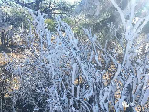 Mount Tai glistens in first frost of winter