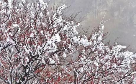 Mount Tai local captures winter's essence