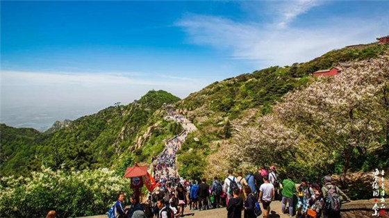 Mount Tai Scenic Area calls for slogan entries