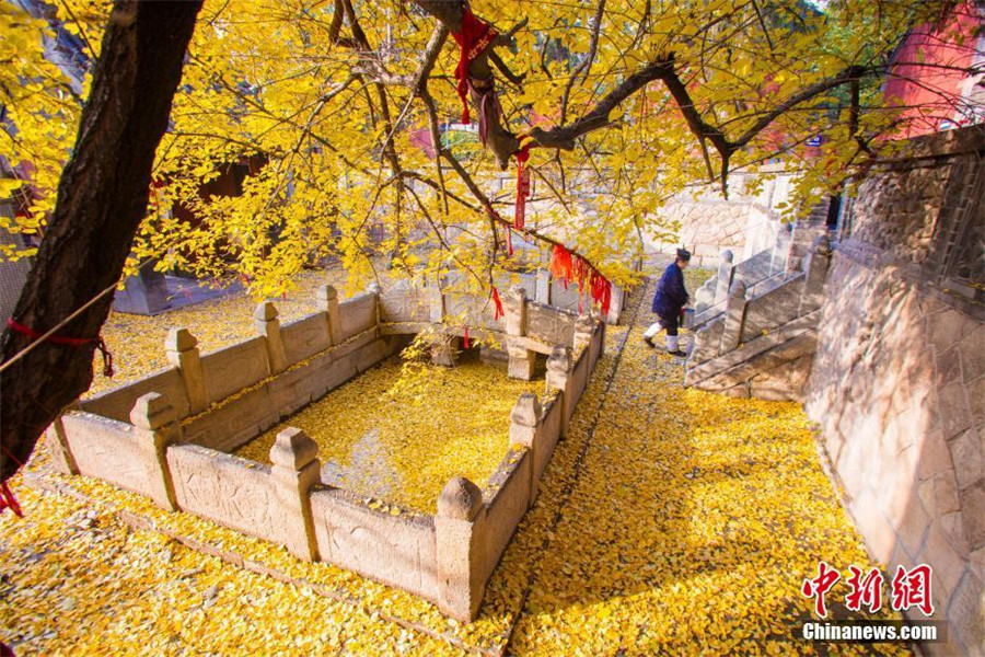 Late autumn scenery of Taishan Mountain in E China