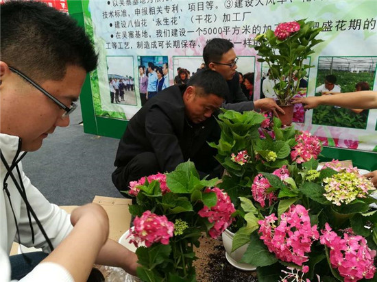 2018 China (Tai'an) Garden Flower and Tree Industry Fair opens