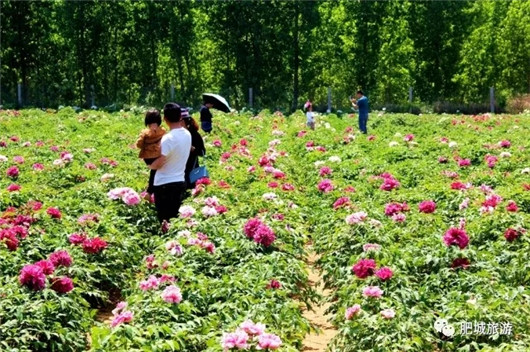 Wonderful Feicheng attractions for May Day holiday