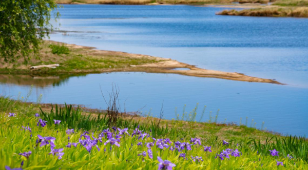 Wenhe River Wetland Park, a perfect place for recreation