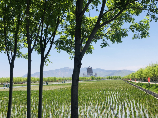 Wenhe River Wetland Park, a perfect place for recreation