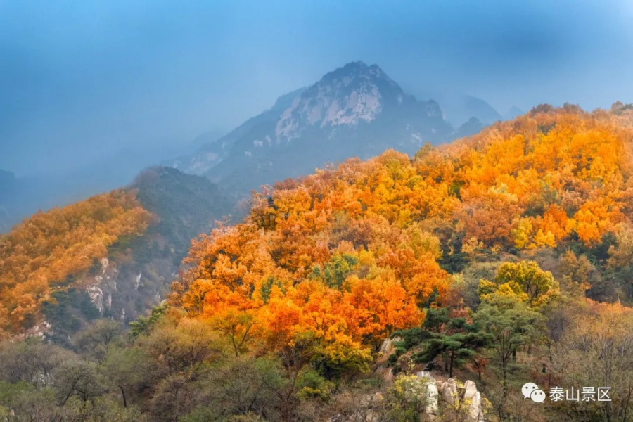 Views of Mount Tai in late autumn