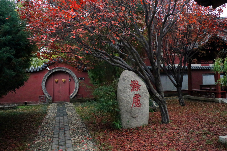 In pics: Stone carving captured at Dai Temple in early winter