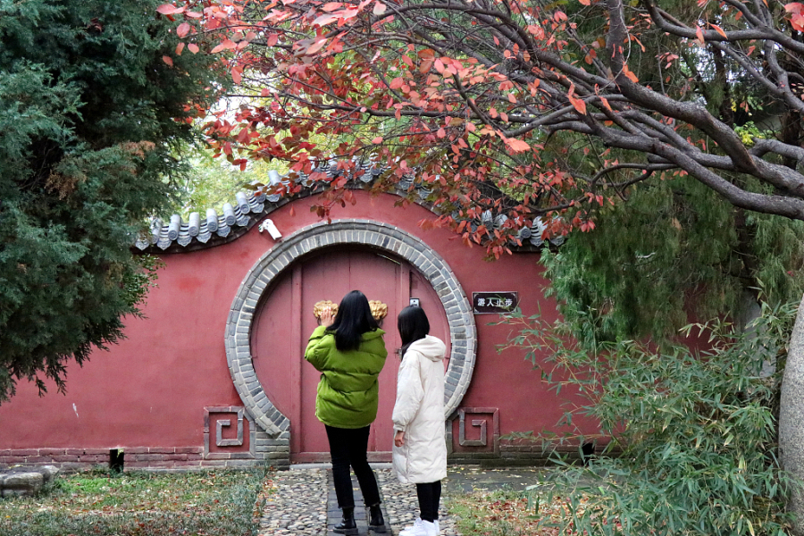 In pics: Stone carving captured at Dai Temple in early winter