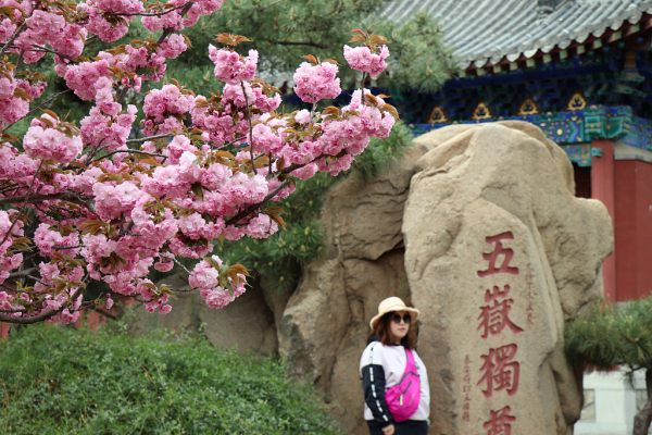 Spring scenery captured in Dai Temple