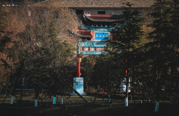 In pics: Fascination scenes of nature at West Lake in Tai'an