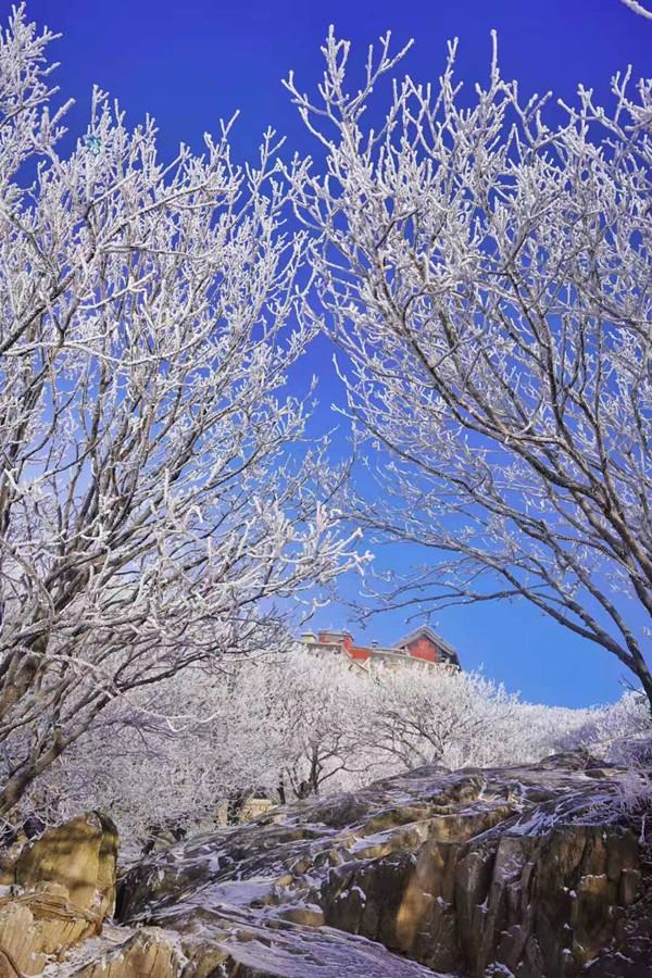 In pics: Mount Tai creates a delicate rime fantasy