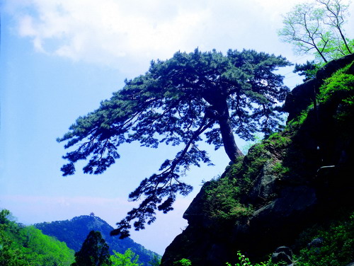泰山文化传说