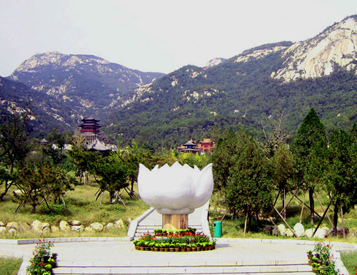 新泰,新泰莲花山,新泰发展大道_点力图库