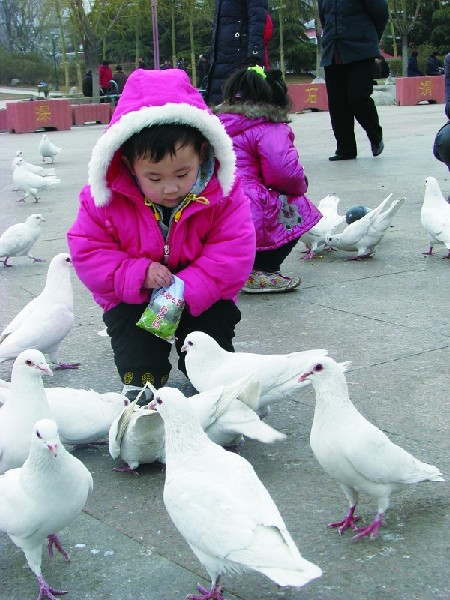 泰城呈现出了人与自然和谐相处的良好氛围