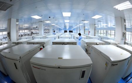 Clinic research for umbilical cord blood stem cell transplant starts in Tianjin