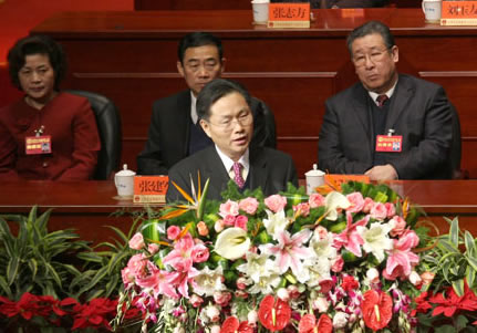 Zong Guoying elected head of Binhai New Area