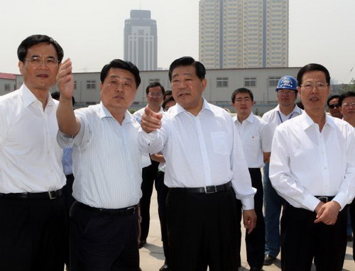Top Chinese political advisor inspects Tianjin