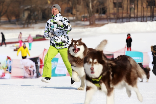 Pooches on parade in pet competition