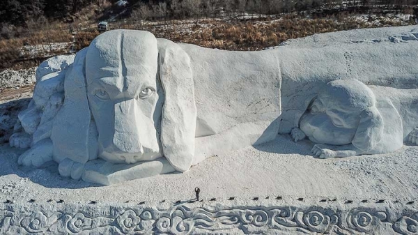 Giant snow sculpture featuring dogs seen in Shenyang, NE China