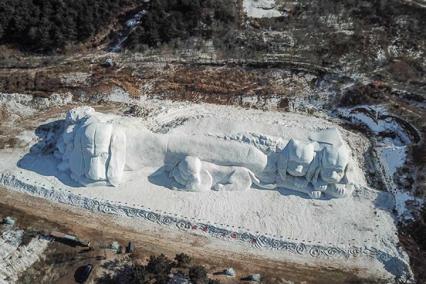 Giant snow sculpture featuring dogs seen in Shenyang, NE China