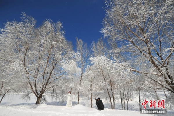 Heavy snow hits Shenyang, NE China