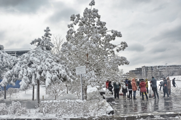 Snow-covered Shenyang in spring