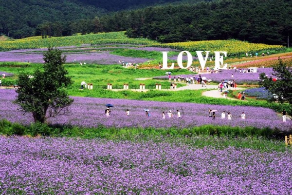 Shenyang promotes summer tourism
