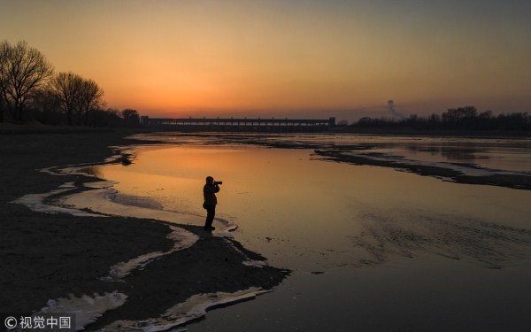 Wild ducks spend winter in Shenyang