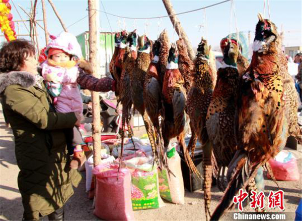 International students tour Puhe market