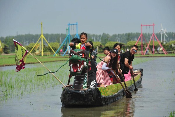 Folk stage dragon boat race in muddy rice fields