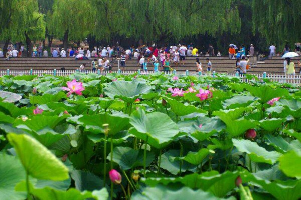 Shenyang launches over 140 summer tourism activities