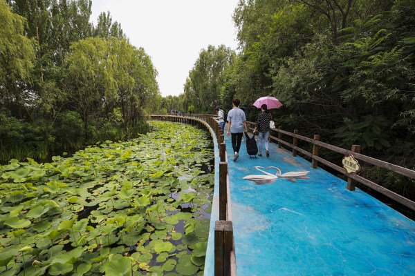Shenyang Bird Island draws visitors