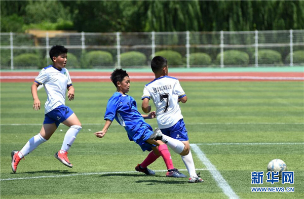 Youth soccer championship kicks off in Shenyang