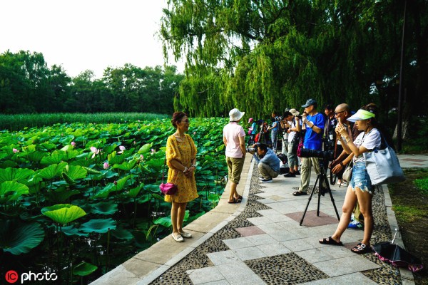 Lotus appeals visitors to Beiling Park