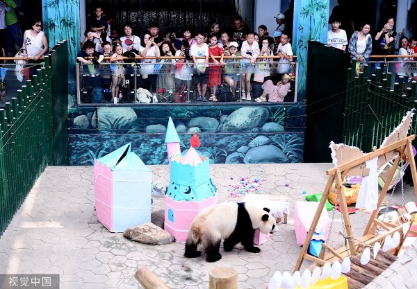 Panda celebrates 5th birthday in Shenyang