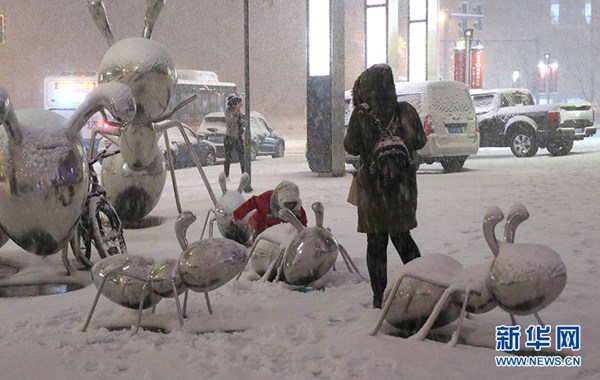 Shenyang welcomes its first snowfall