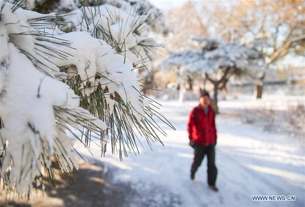 Snow scenery at Beiling park in Shenyang